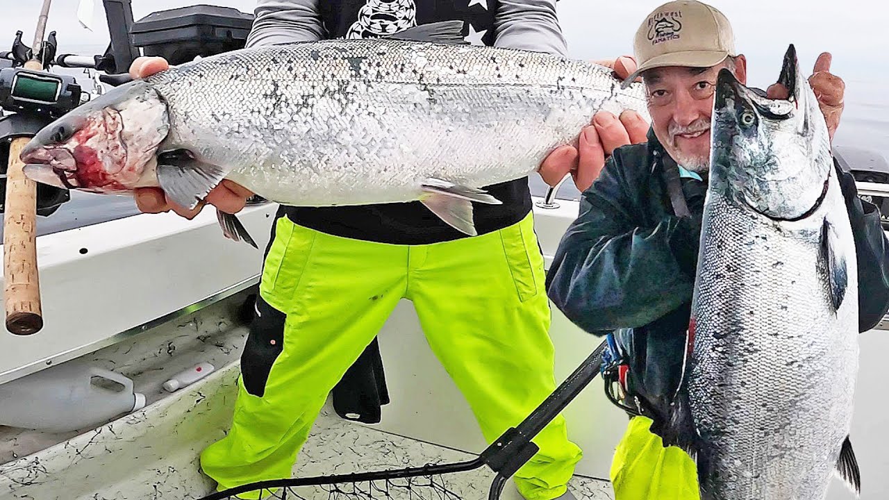 Trophy Silvers & Kings