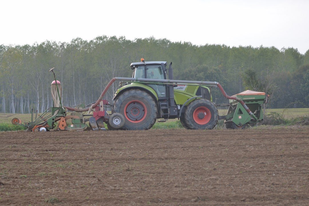 wheat seeding : Claas Axion 850