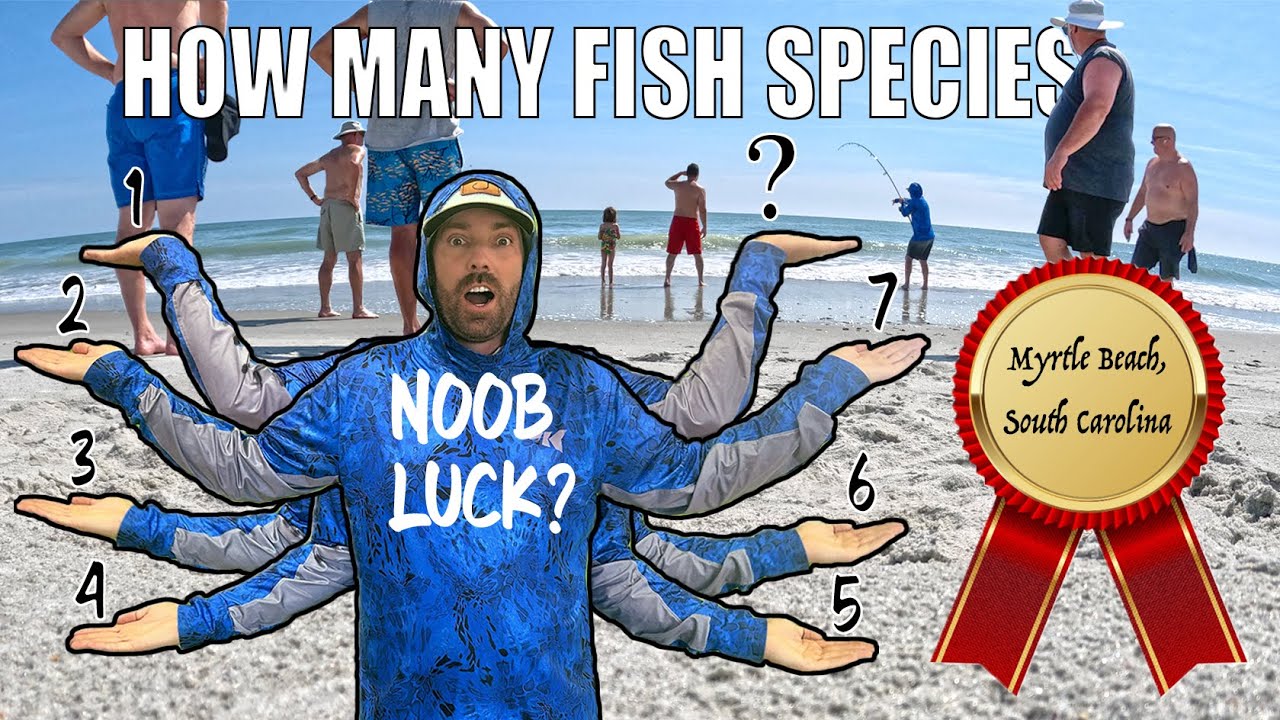 Wicked Catch Myrtle Beach Surf & Pier Fishing | 8 multi-species day