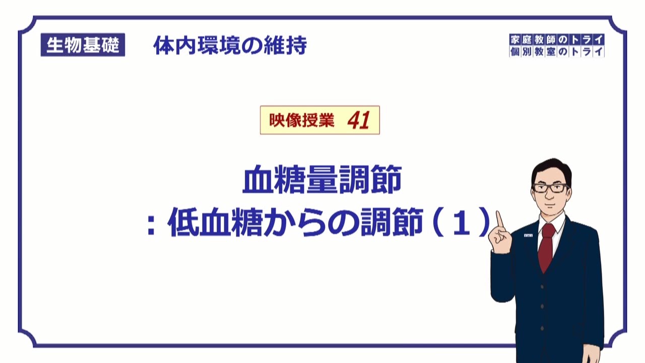 【生物基礎】　体内環境の維持41　血糖量調節：低血糖からの調節（１）　（１４分）