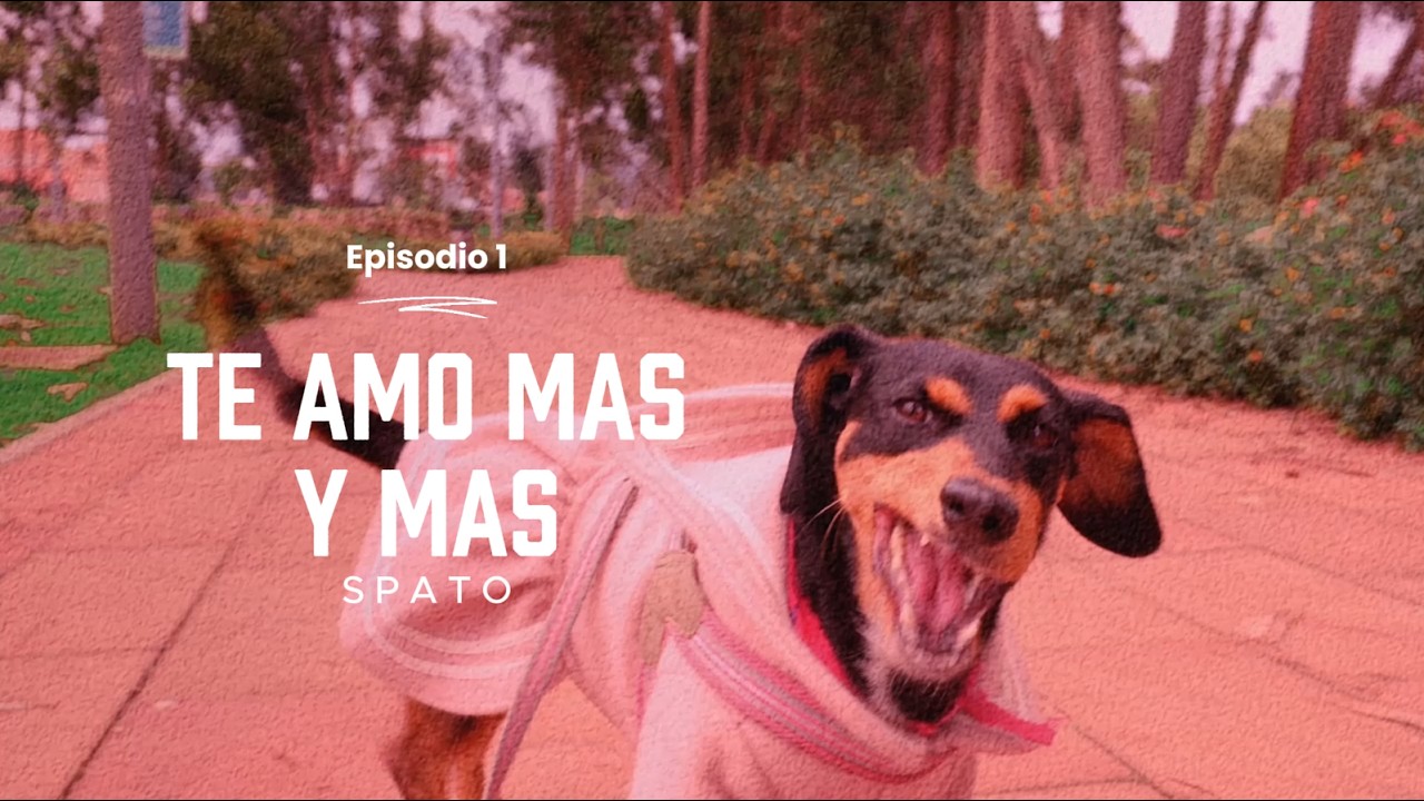 TE AMO MAS Y MAS - SPATO EP GRIS -  Episodio 1
