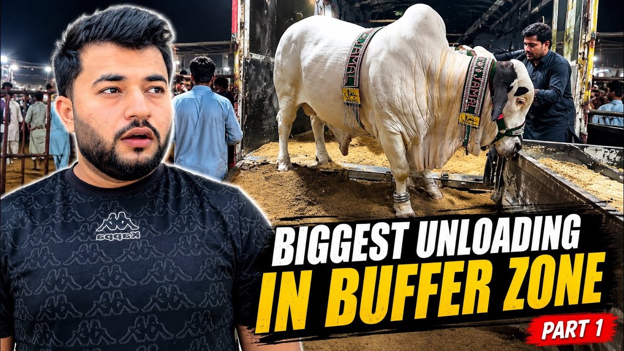 Last Visit Of Northern Bypass Mandi 😳🔥 | Biggest Unloading In Buffer Zone | Part 1