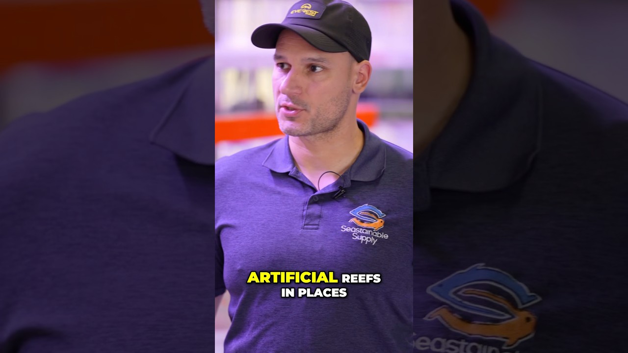 Artificial Reefs - Talk with Mark Vera from Seastainable Supply