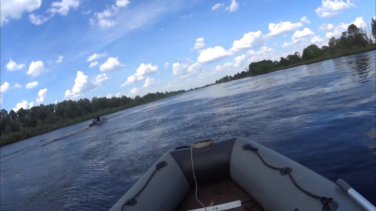 Рыбалка на Припяти май 2024г. район д.Багримовичи! Отдых рыбалка в Беларуси!