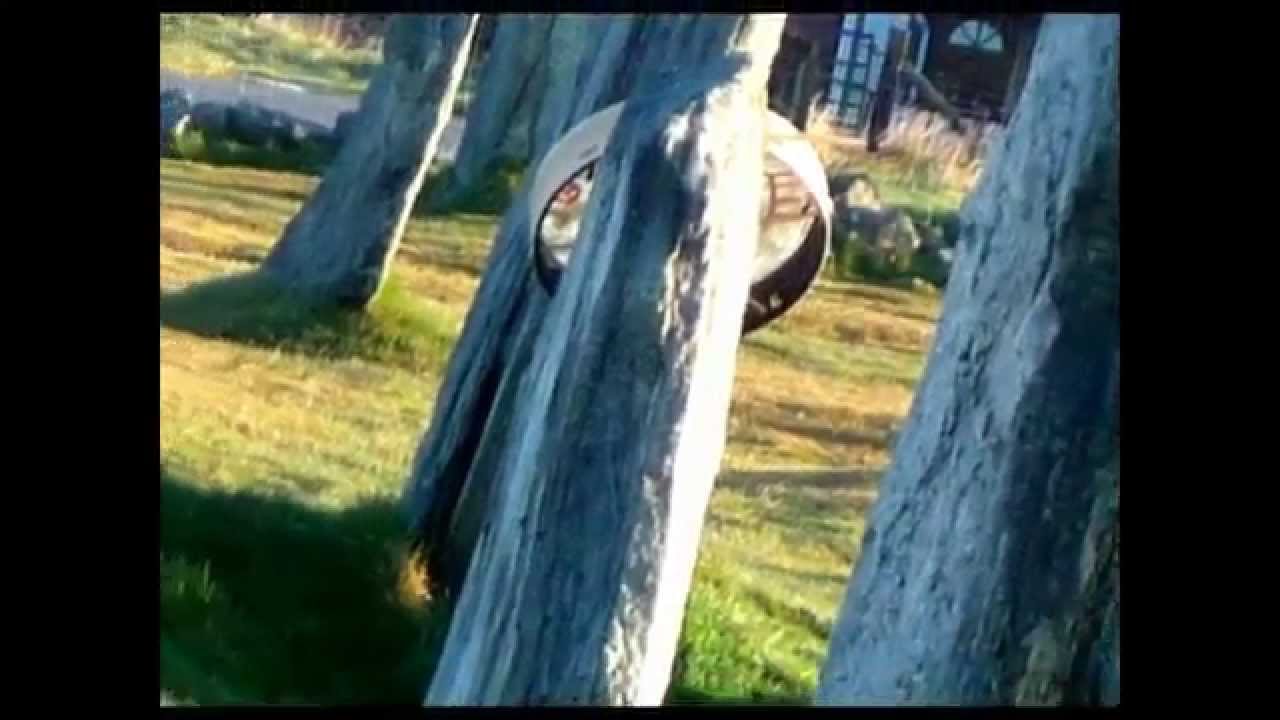 the bodhran drum stone + the angel - callanish standing stones- william orbit- bubble universe