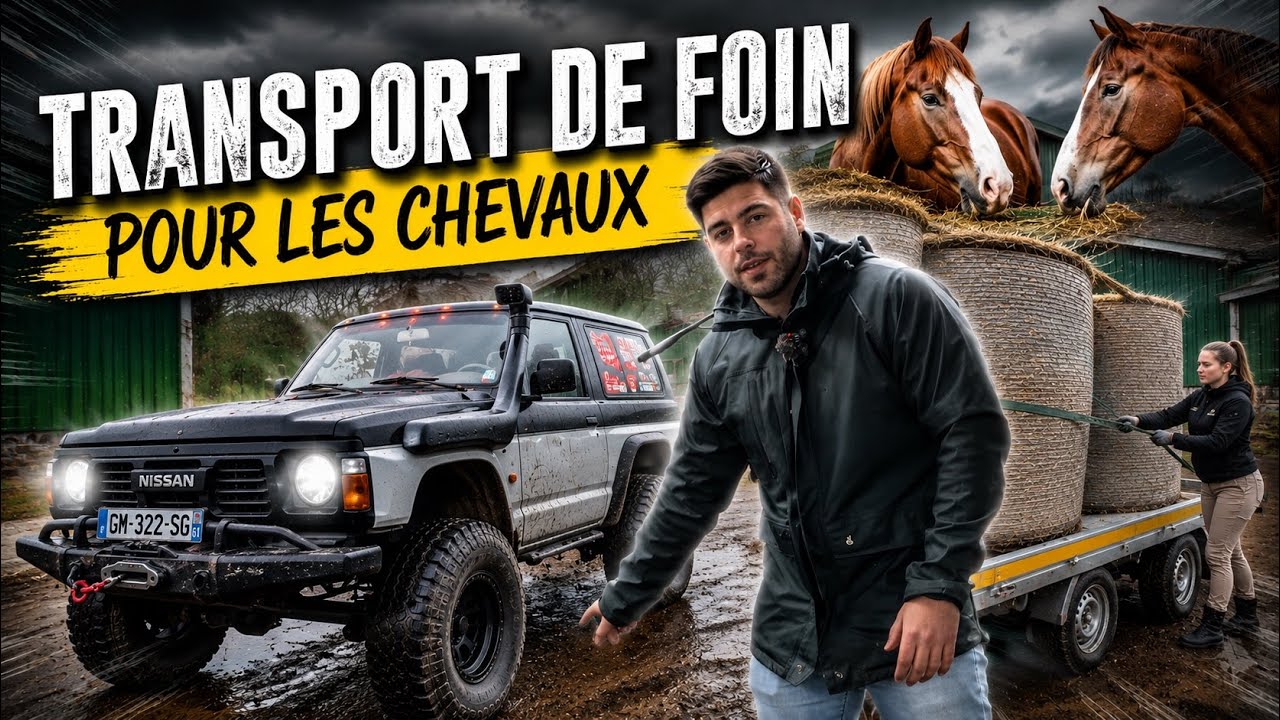 Transport de foin pour nourrir des chevaux avec mon Nissan Patrol !! @Eduard Trailers