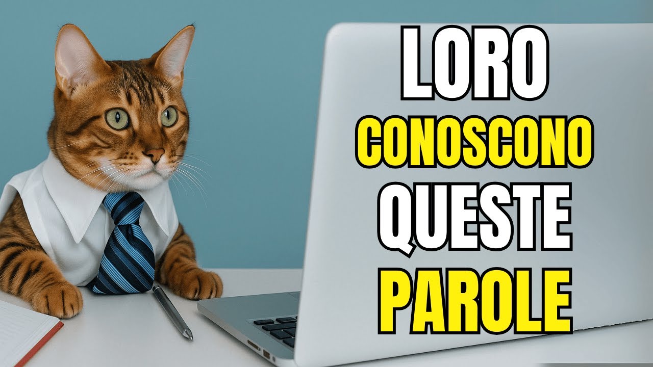 6 parole che il tuo gatto capisce davvero (secondo la scienza)