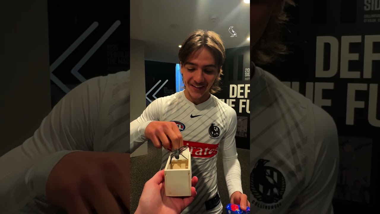 Our nonchalant chill guy Will Hayes was terrified of this box prank 😅🕷️ #prank  #willhayes  #scary