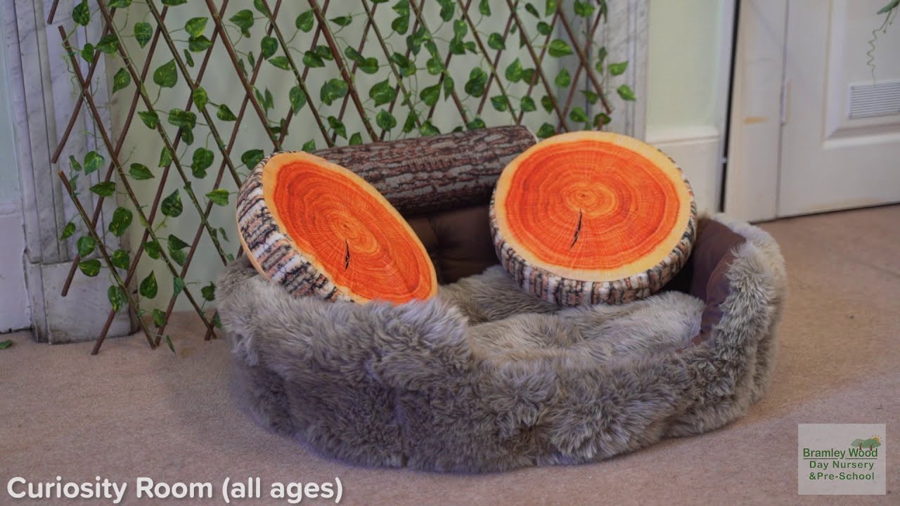 Bramley Wood Day Nursery & Pre-School - Virtual Tour