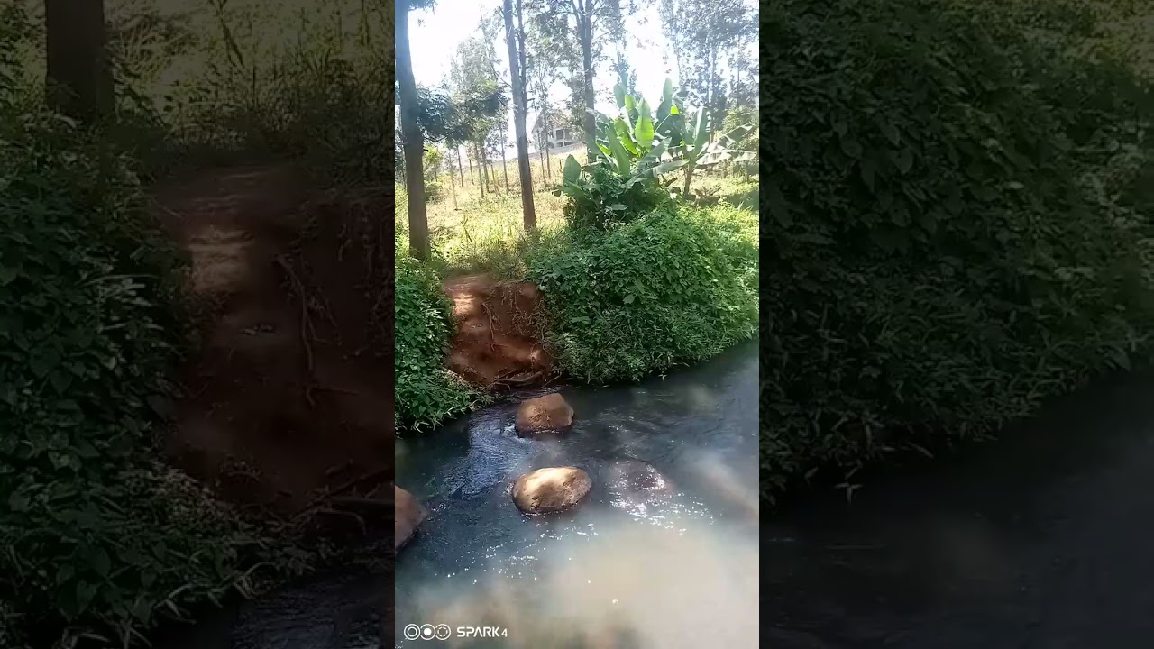 NATURE ADVENTURE 