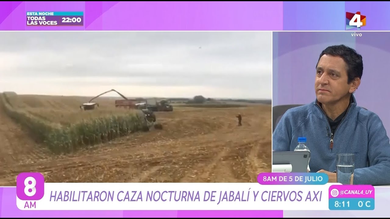 8AM - Habilitaron caza nocturna de jabal&iacute; y ciervos axis