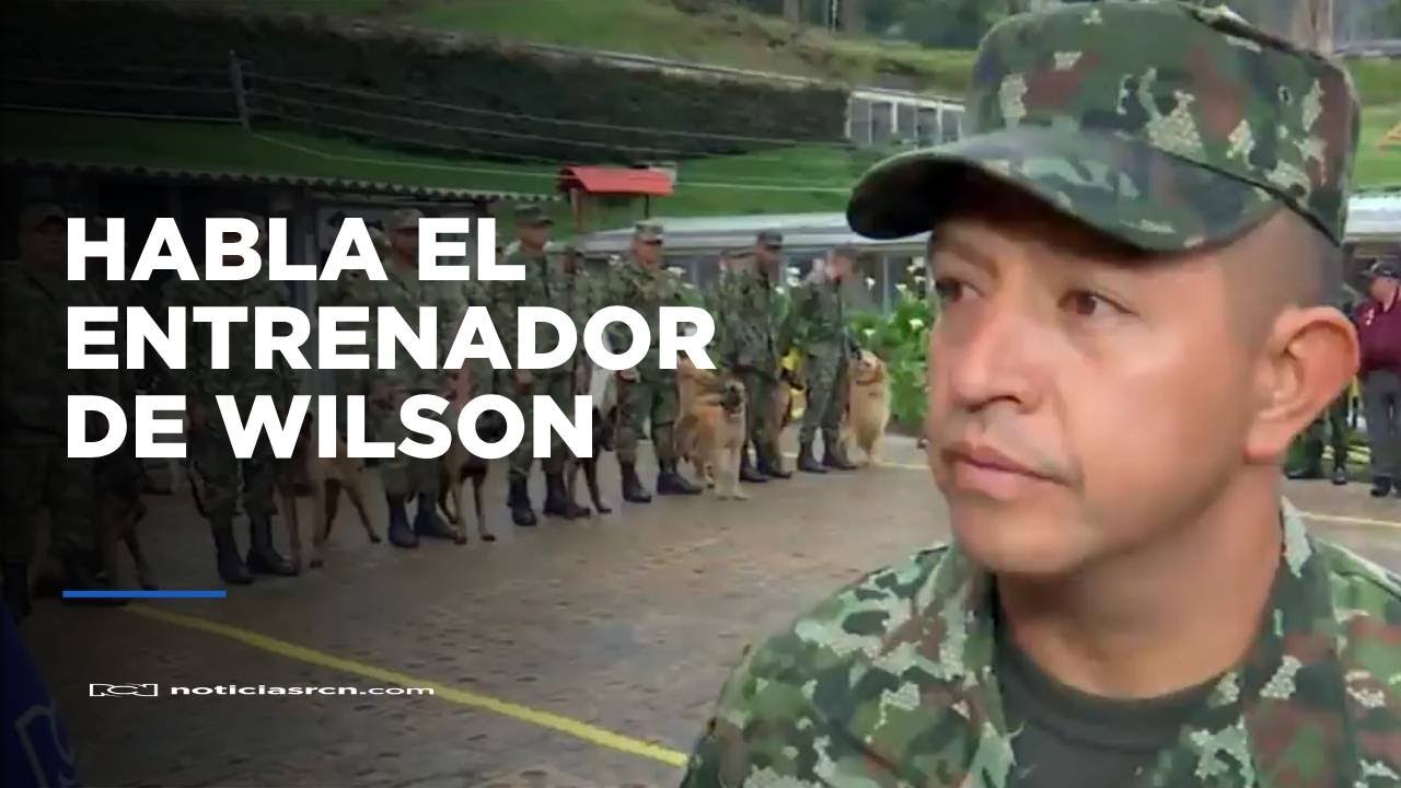 ¿Wilson podrá sobrevivir? Habla entrenador del perro perdido en Guaviare