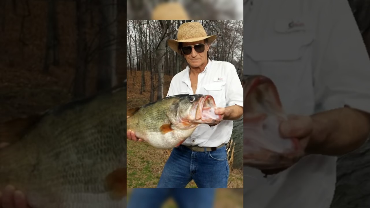 РЕКОРДНЫЙ ОКУНЬ, КОТОРЫЙ НЕ БЫЛ ЗАСЧИТАН #bassfishing #fishing #shorts