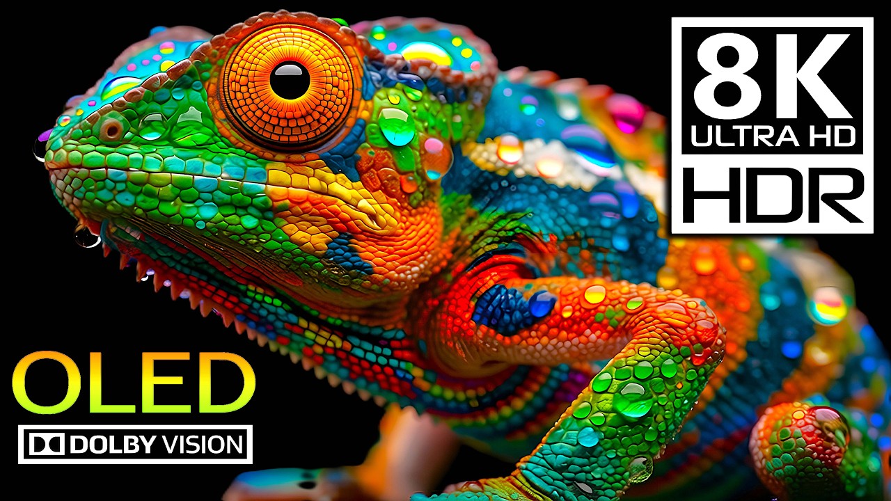 The Real World: Biodiversity in 8K HDR 120FPS – Authentic Color & Dolby Vision
