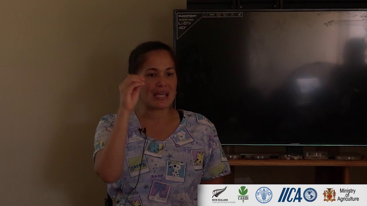 Small Ruminant Health - External Parasites