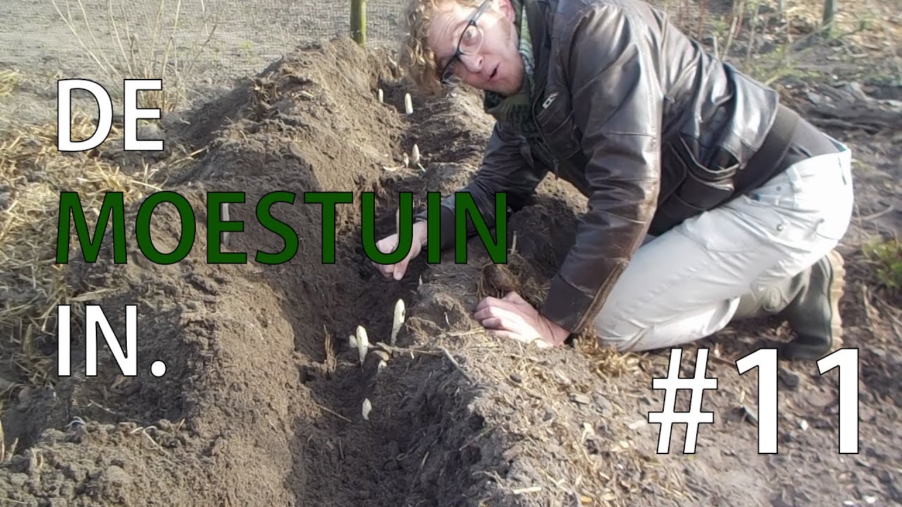 De Moestuin In. Vlog #11 - Schatzoeken, naar het witte goud!