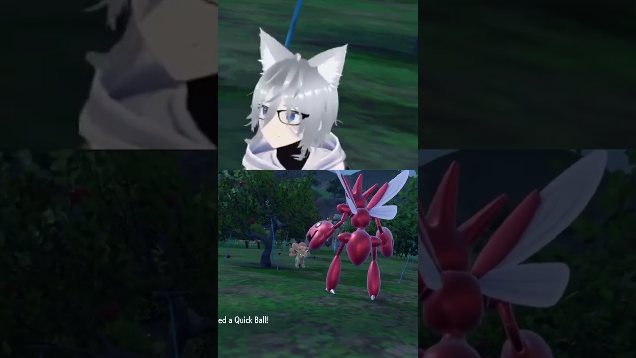 Pokemon Violet - Shiny Vulpix | #shouakemi on #Twitch
