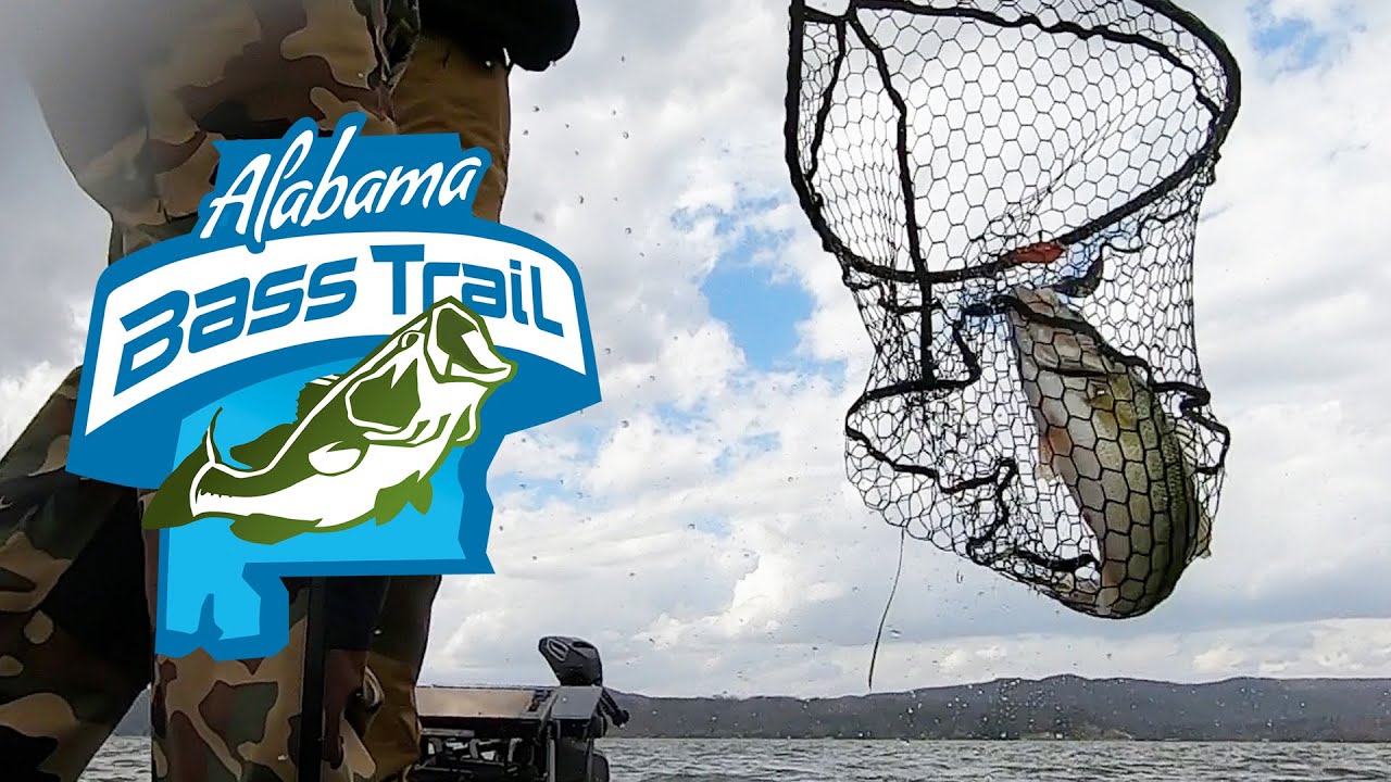 Alabama Bass Trail TV - 2025 - 04 - Lake Guntersville