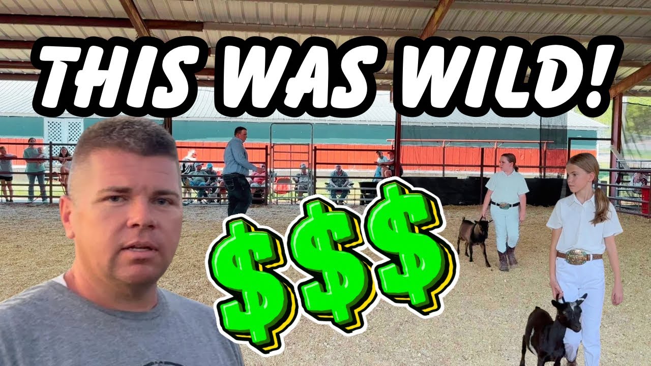 County Fair Chaos: Emergency Dentist Visit, BIG Wins, & Heat Exhaustion!