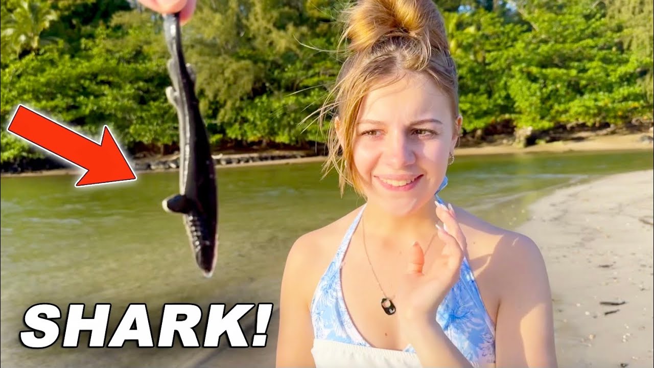 Found Baby SHARK At The Beach!