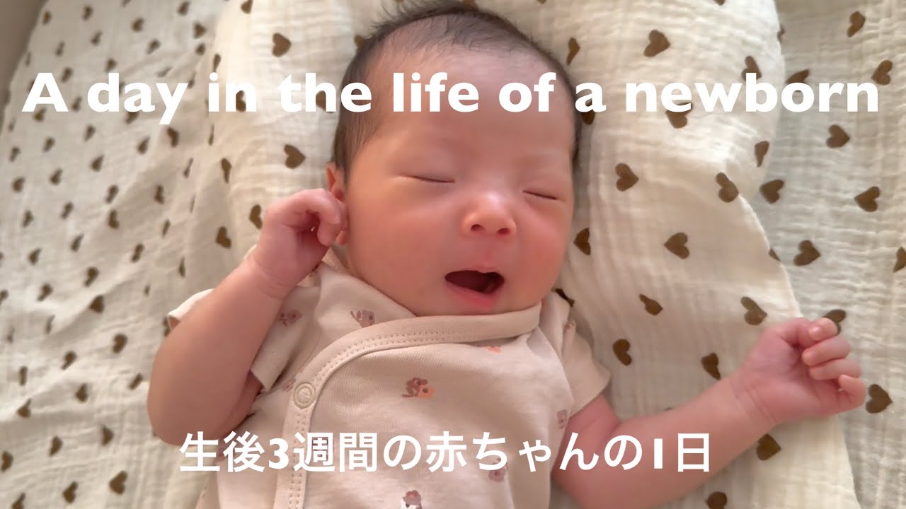 〔vlog〕【1日密着】新生児との1日ルーティン👶🏻🤍A day in the life of a newborn｜夏生まれ🌻｜混合育児【生後3週間】