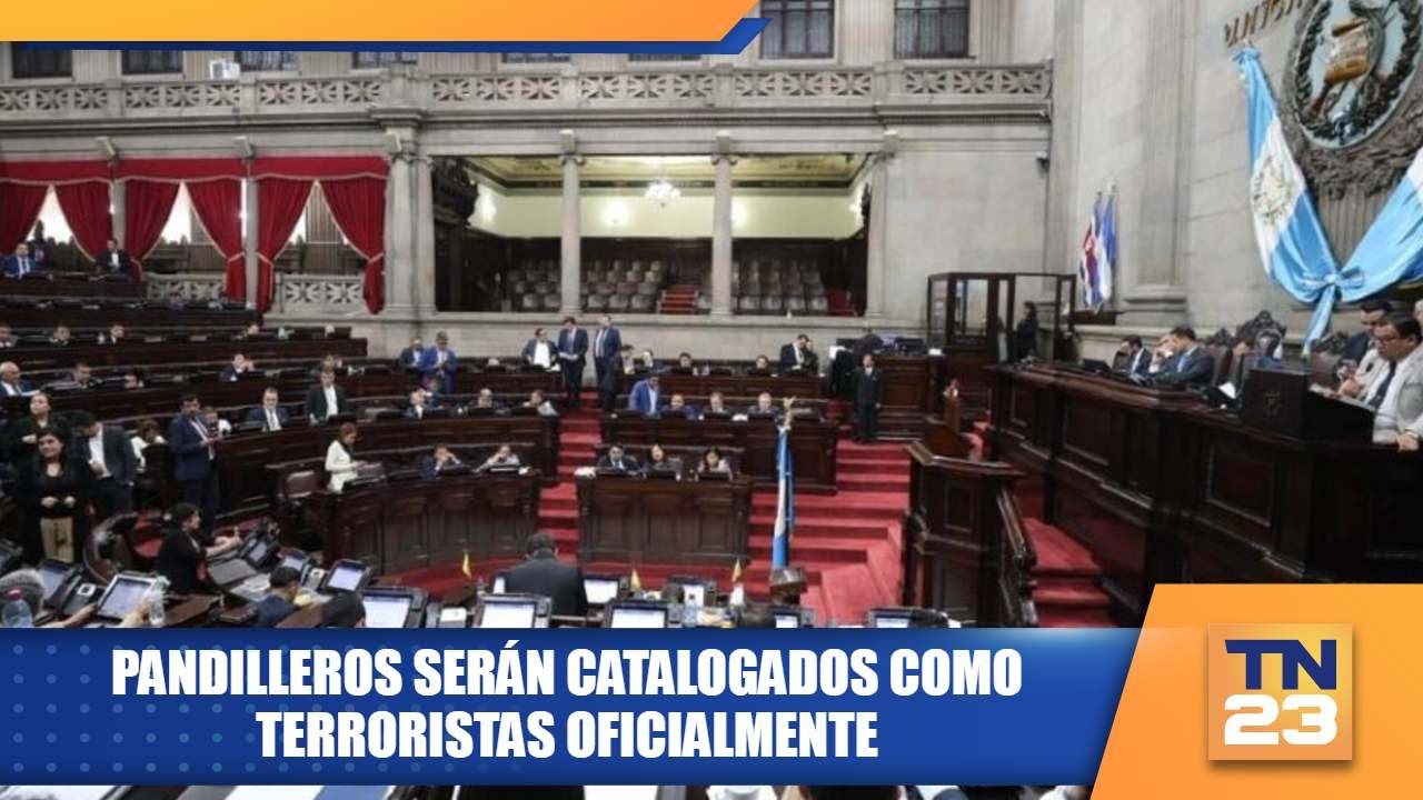 Pandilleros serán catalogados como terroristas oficialmente