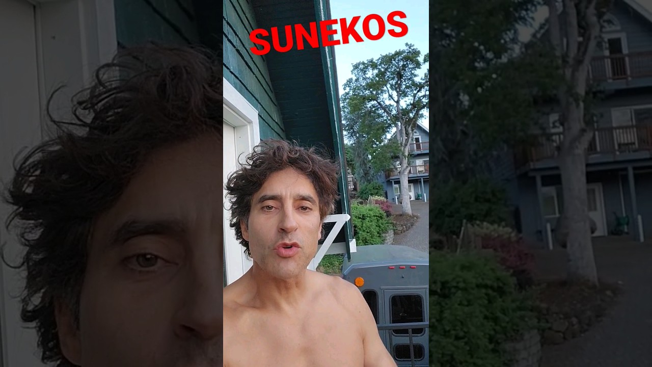 SUNEKOS : DO I LIKE IT??