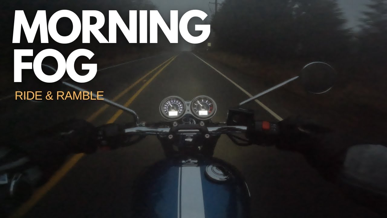 Deer Crossing, Fog, New Light, and a Dead Red - Morning Ride on the Triumph Bonneville - 2/28/2025