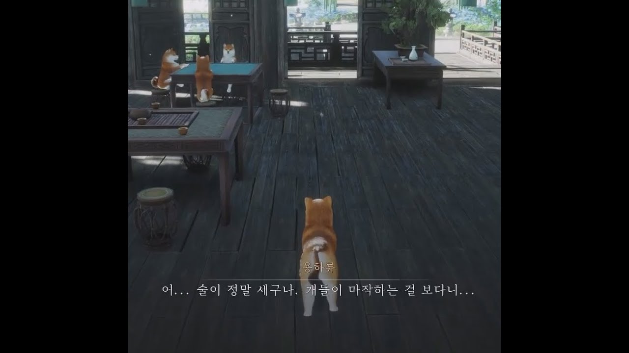 [기연] 비범한 개
