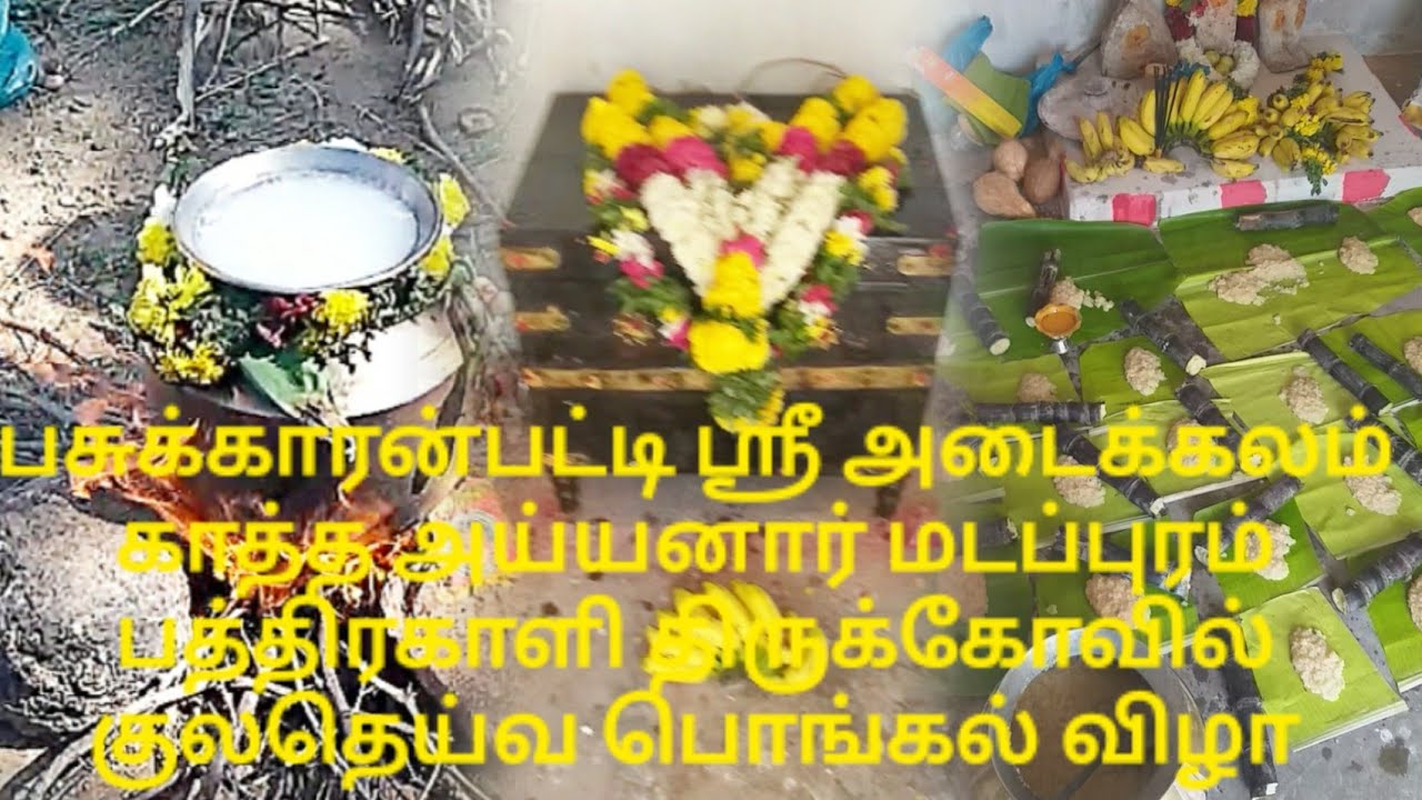 அருள்மிகு மடப்புரம் பத்திரகாளி திருக்கோவில் குலதெய்வ தைப்பொங்கல் திருவிழா  Like, Subscribe