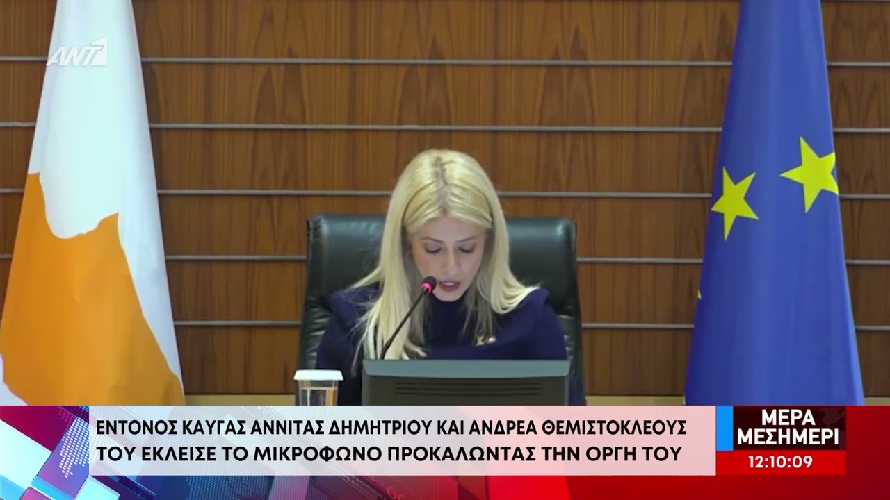 Βουλή: O έντονος καυγάς Αννίτας Δημητρίου - Ανδρέα Θεμιστοκλέους