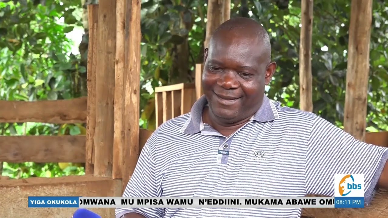 Ayagala okufuna mu kulunda embizzi kola bino. #Yigaokukola