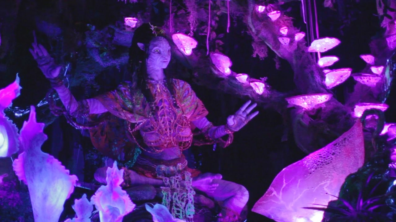 Na'vi River Journey, Pandora — The World of Avatar, Disney's Animal Kingdom