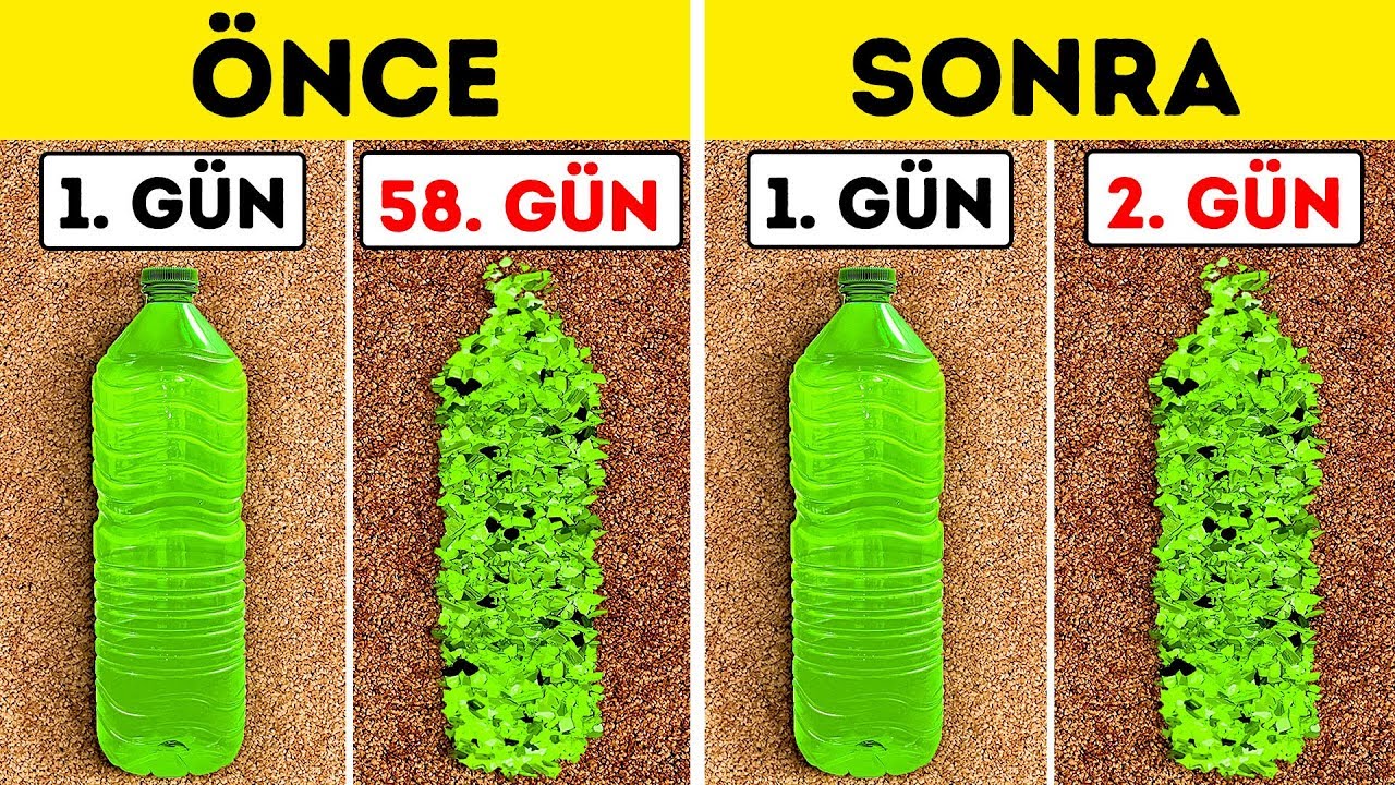 Bilim İnsanları Plastik Yiyen Bakteriler Buldu