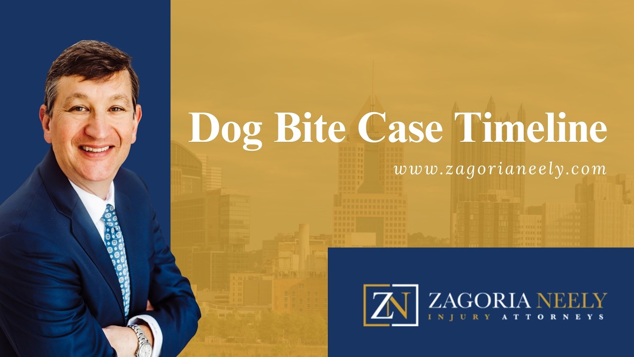 What Happens in a Dog Bite Case in Georgia From Start to Finish
