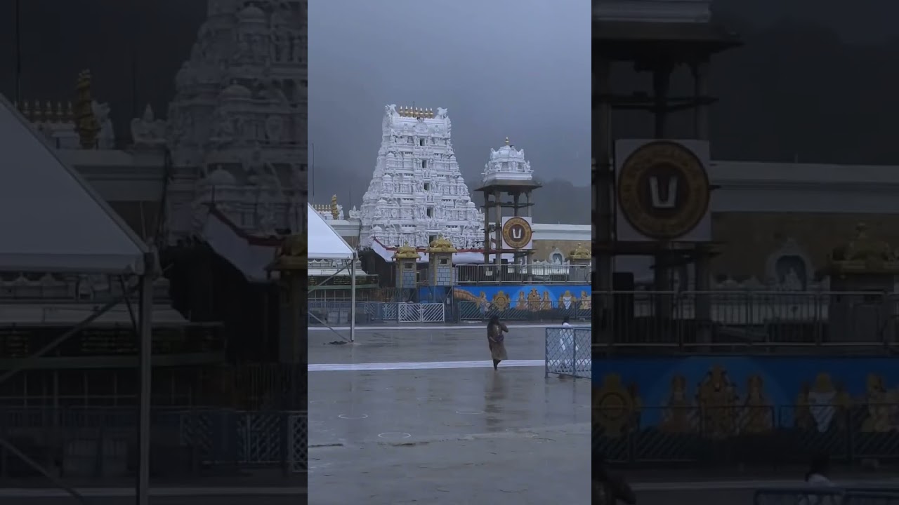 #andhrapradesh #travel #TTD #tirumala #tirupati #devotional