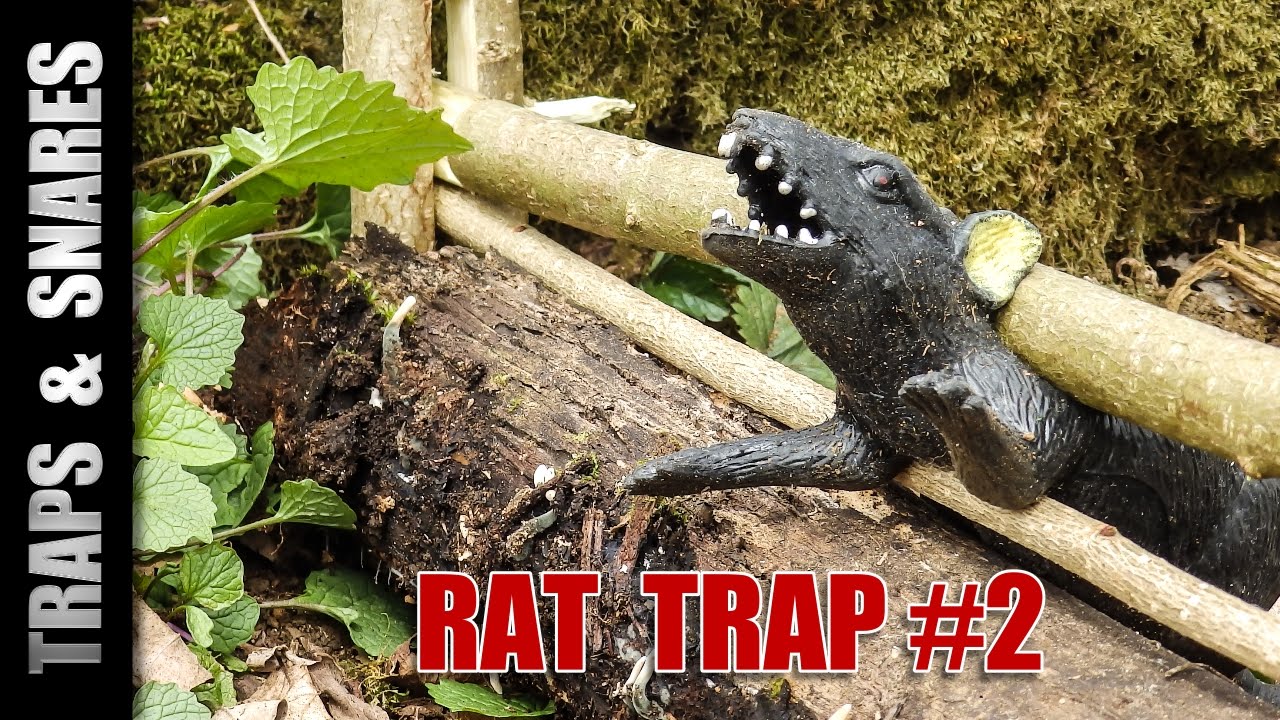 🐀 Rat Trap 2: DEADFALL Style! Ultimate Spring Traps & Snares Explained 💥 #Survival #bushcraft