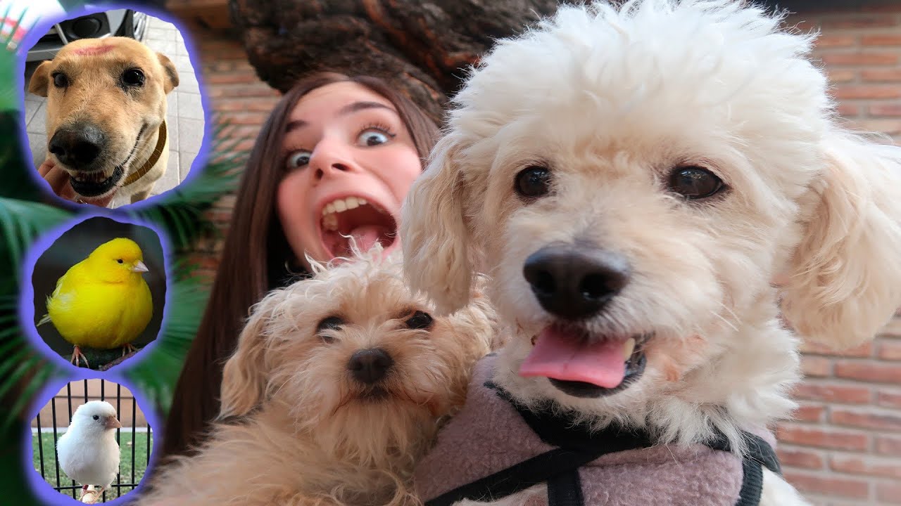 MI MAYOR SECRETO¿CUANTAS MASCOTAS TENGO REALMENTE? | Melina Vallejos