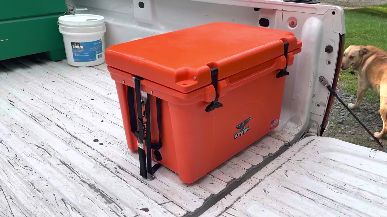 Orca 40 review and thoughts