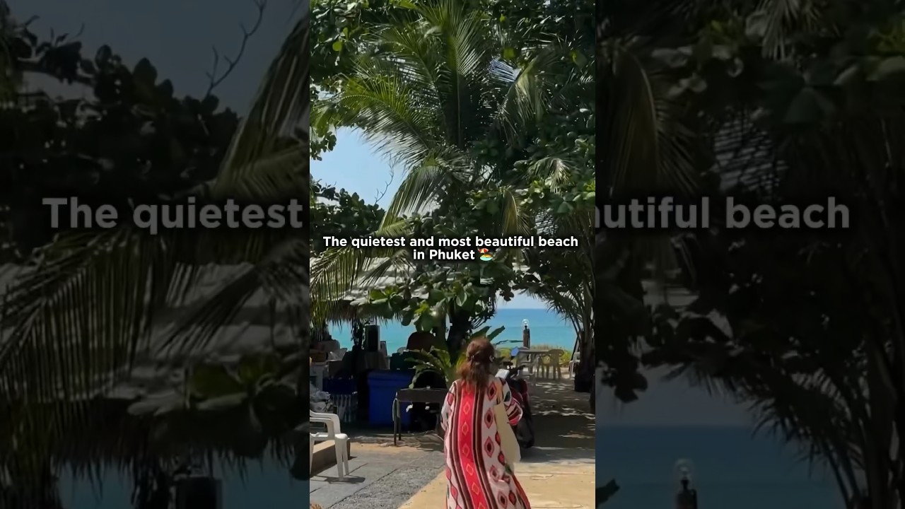 What to do around Nai Yang Beach? #phuket #thailand #island #travel #naiyang