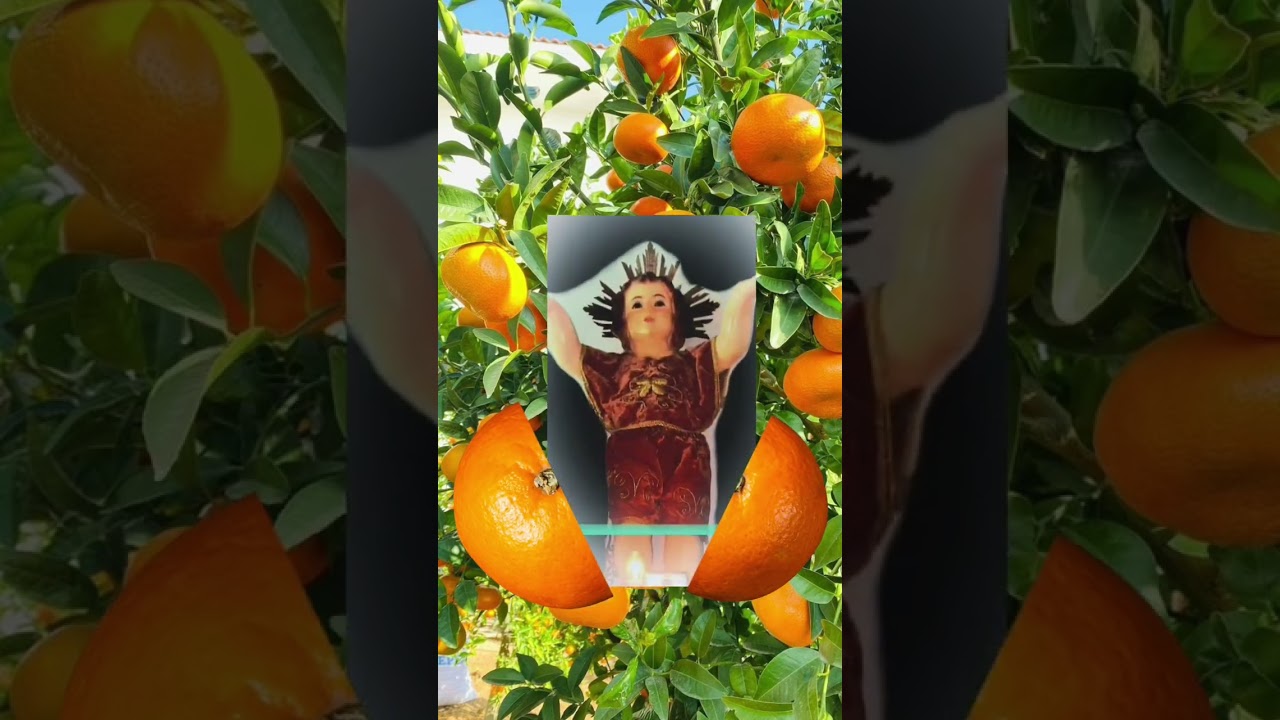 Santo nino#shorts#viral #trending #trendingshorts #shortsvideo #viralvideo #shortsfeed #tiktok