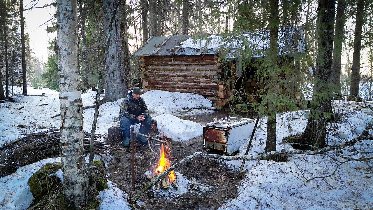 SOLO LIVING IN A LOG CABIN OFF GRID. IN THE WILDERNESS.