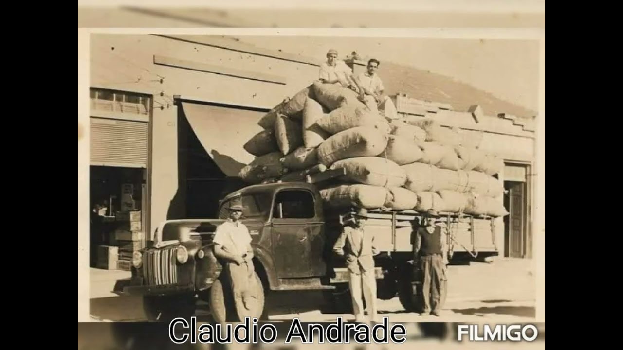 colheita de algodão nós anos 60.70.80