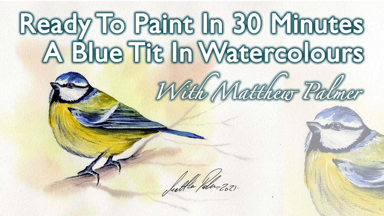 Ready To Paint In 30 Minutes Paint A Blue Tit In Watercolour