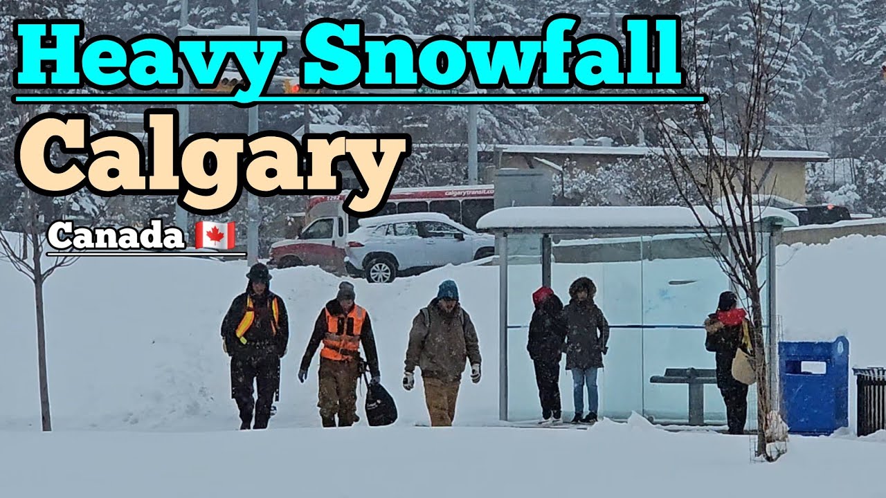Heavy Snowfall and Freezing Cold in Calgary Alberta Canada 🇨🇦 #canada #calgary #Alberta #Snow
