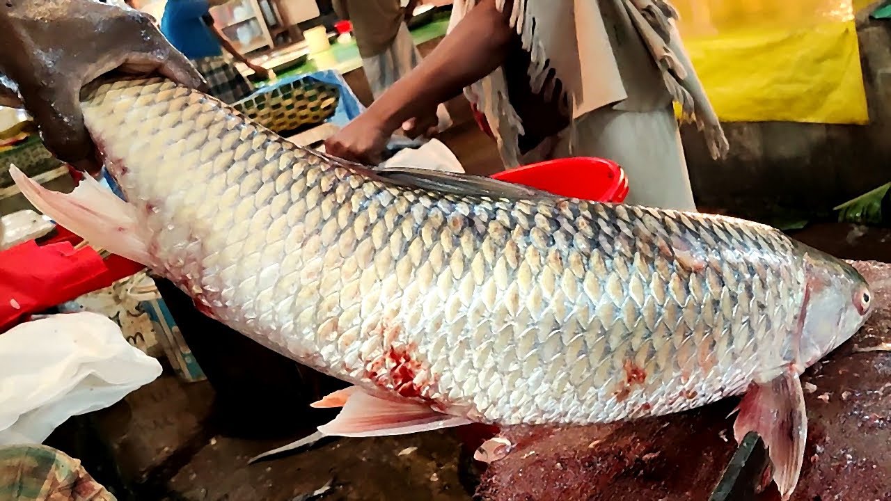 Fastest Fish Cutting Skills | Big Mrigal Fish Cutting In Bangladesh Fish Market