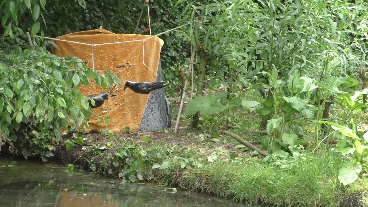 schutters in aktie Archeon 3-07-23