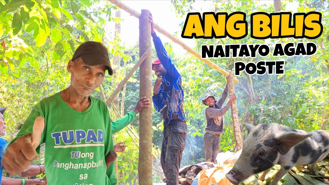 ANG BILIS TULONG-TULONG SA PAGGAWA NG KUBO 