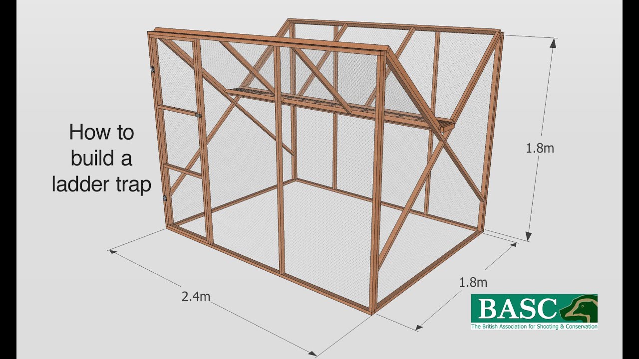 How to Build a Ladder Trap