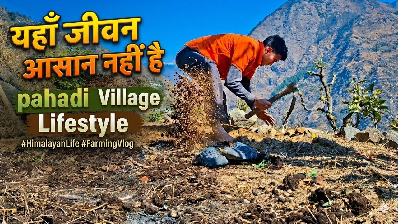 पहाड़ों पर खेतों में काम शुरू || यहाँ जीवन आसान नहीं है #pahadivlogs